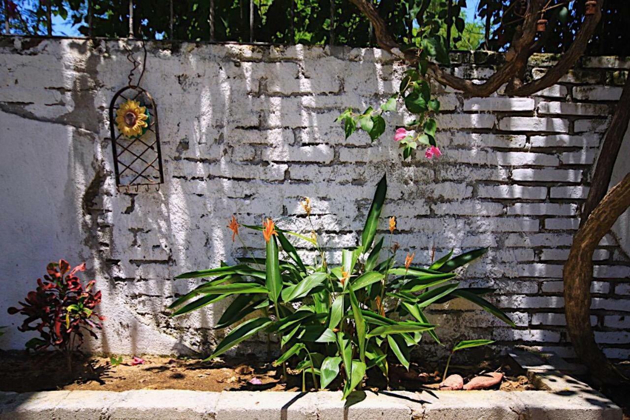 Ferienwohnung Casita Piedra Puerto Escondido  Exterior foto